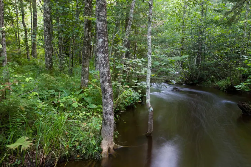 Smart Forestry℠ - A unique forest management system Smart Forestry℠ - A unique forest management system