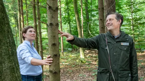 Stadtwald Augsburg &#x2013; wo nachhaltige Papierherstellung und Forstwirtschaft eine Einheit bilden