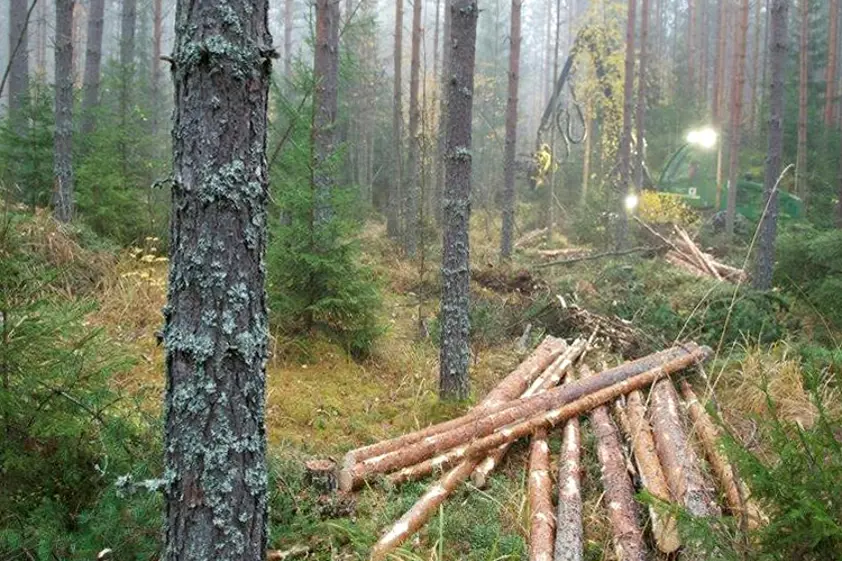 A smart way to use land A smart way to use land